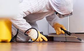 Professional Pest Control in Landover, MD